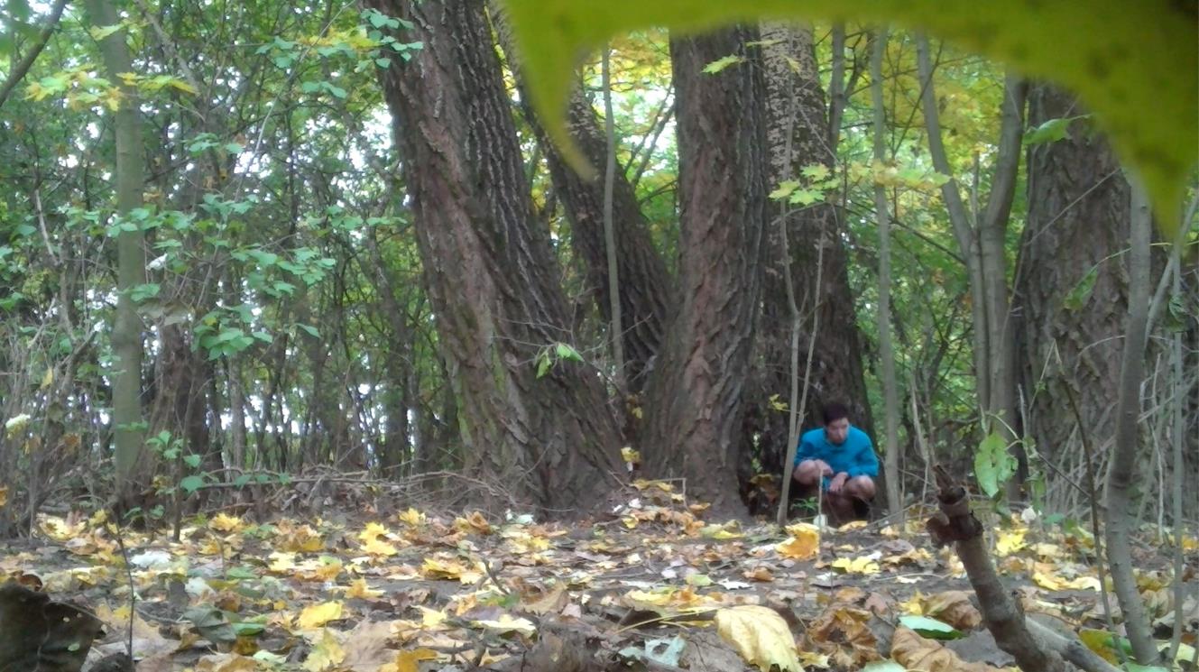 Girl peeing in bush